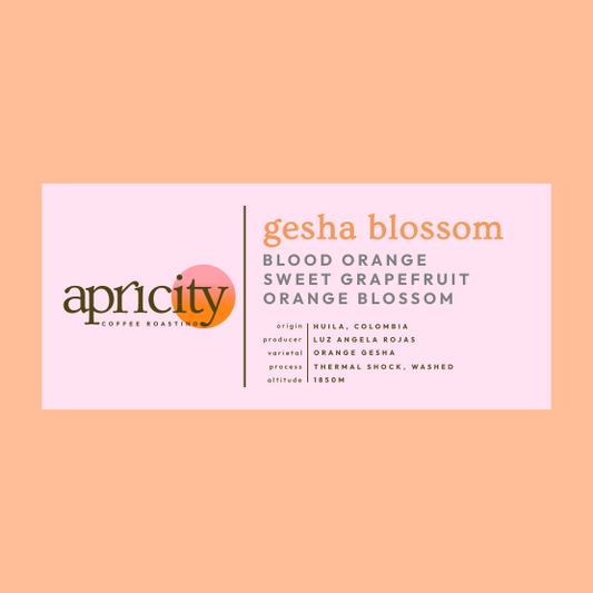 Gesha Blossom