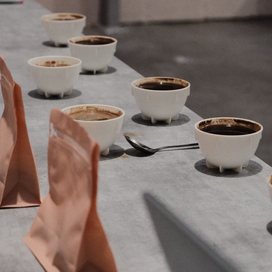 South & Central America