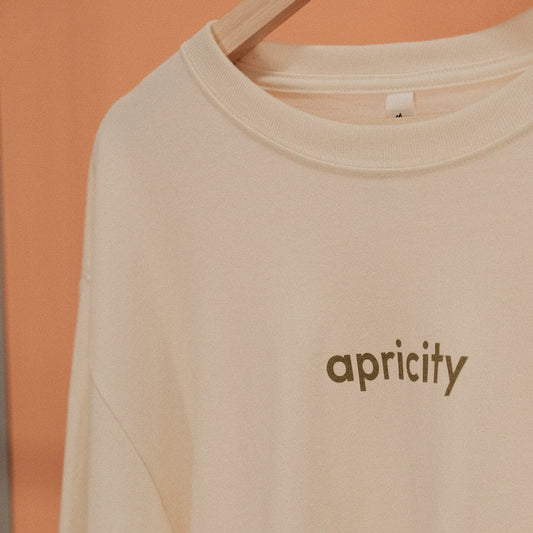 Beige long-sleeve shirt with 'apricity' branding